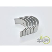 SET CUZINETI BIELA R1