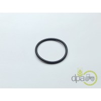 ORING PIVOT