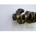 ARBORE MOTOR