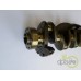 ARBORE MOTOR