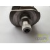 ARBORE MOTOR