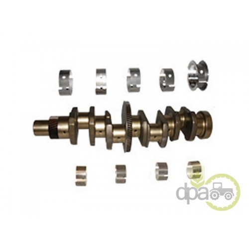 ARBORE MOTOR