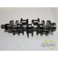 ARBORE MOTOR