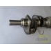 ARBORE MOTOR