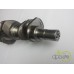 ARBORE MOTOR
