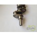 ARBORE MOTOR