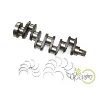 ARBORE MOTOR