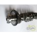 ARBORE MOTOR