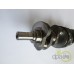 ARBORE MOTOR