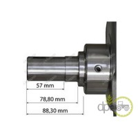 ARBORE MOTOR