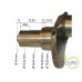 ARBORE MOTOR