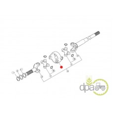 ARTICULATIE PLANETARA