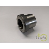 BUCSA PIVOT INFERIOR