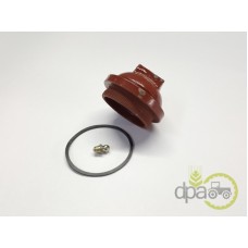 CAPAC PIULITA BUTUC