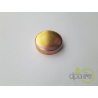 CAPAC RULMENT PIVOT