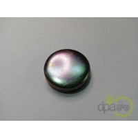 CAPAC RULMENT PIVOT