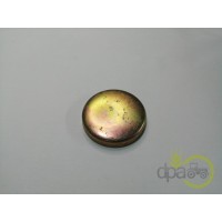CAPAC RULMENT PIVOT