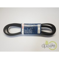CUREA 6PK2555 CUREA 6PK2555