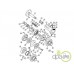 DISC FRANA INTERMEDIAR