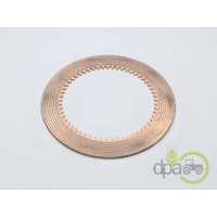 DISC FRICTIUNE