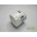 FILTRU ULEI MOTOR