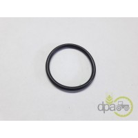 ORING PIVOT