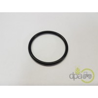 ORING PIVOT