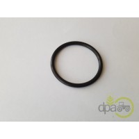 ORING PIVOT