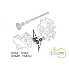 PINION DISTRIBUTIE