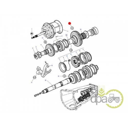 PINION TRANSMISIE