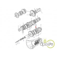 PINION VITEZA 1