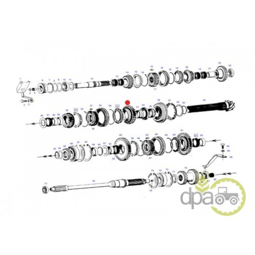 PINION VITEZA 2 Z24