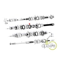 PINION VITEZA 2 Z24