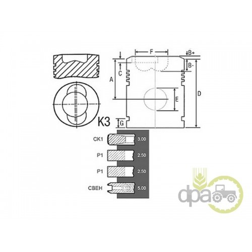 PISTON+SEGMENTI MOTOR
