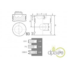 PISTON+SEGMENTI MOTOR