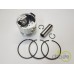 PISTON+SEGMENTI MOTOR