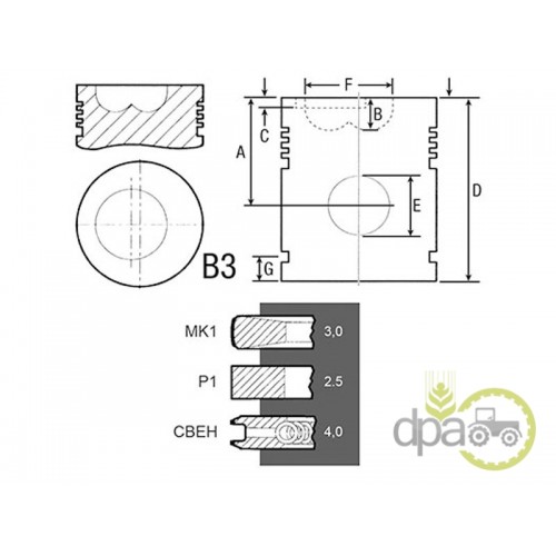 PISTON+SEGMENTI MOTOR