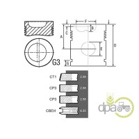 PISTON+SEGMENTI MOTOR