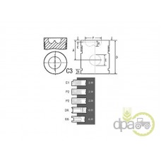 PISTON+SEGMENTI MOTOR