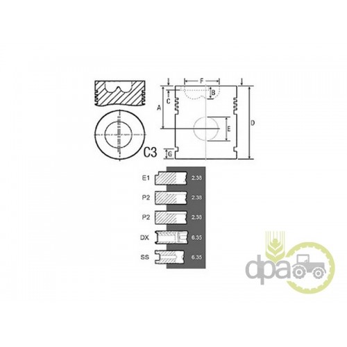 PISTON+SEGMENTI MOTOR
