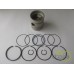 PISTON+SEGMENTI MOTOR
