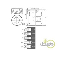 PISTON+SEGMENTI MOTOR