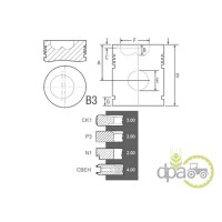 PISTON+SEGMENTI MOTOR