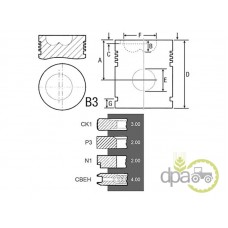 PISTON+SEGMENTI MOTOR