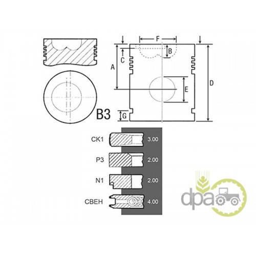 PISTON+SEGMENTI MOTOR