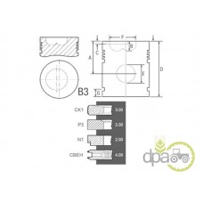 PISTON+SEGMENTI MOTOR