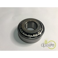 RULMENT PIVOT