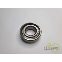 RULMENT PIVOT
