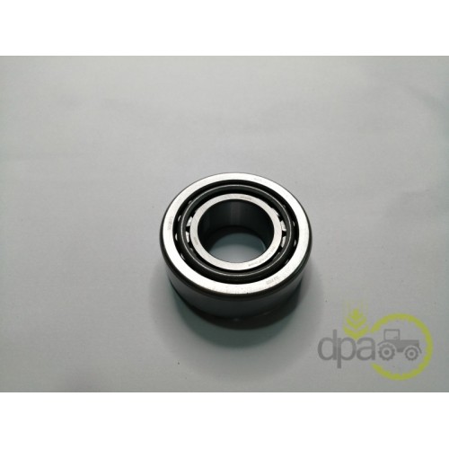 RULMENT PIVOT