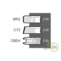 SEGMENTI MOTOR